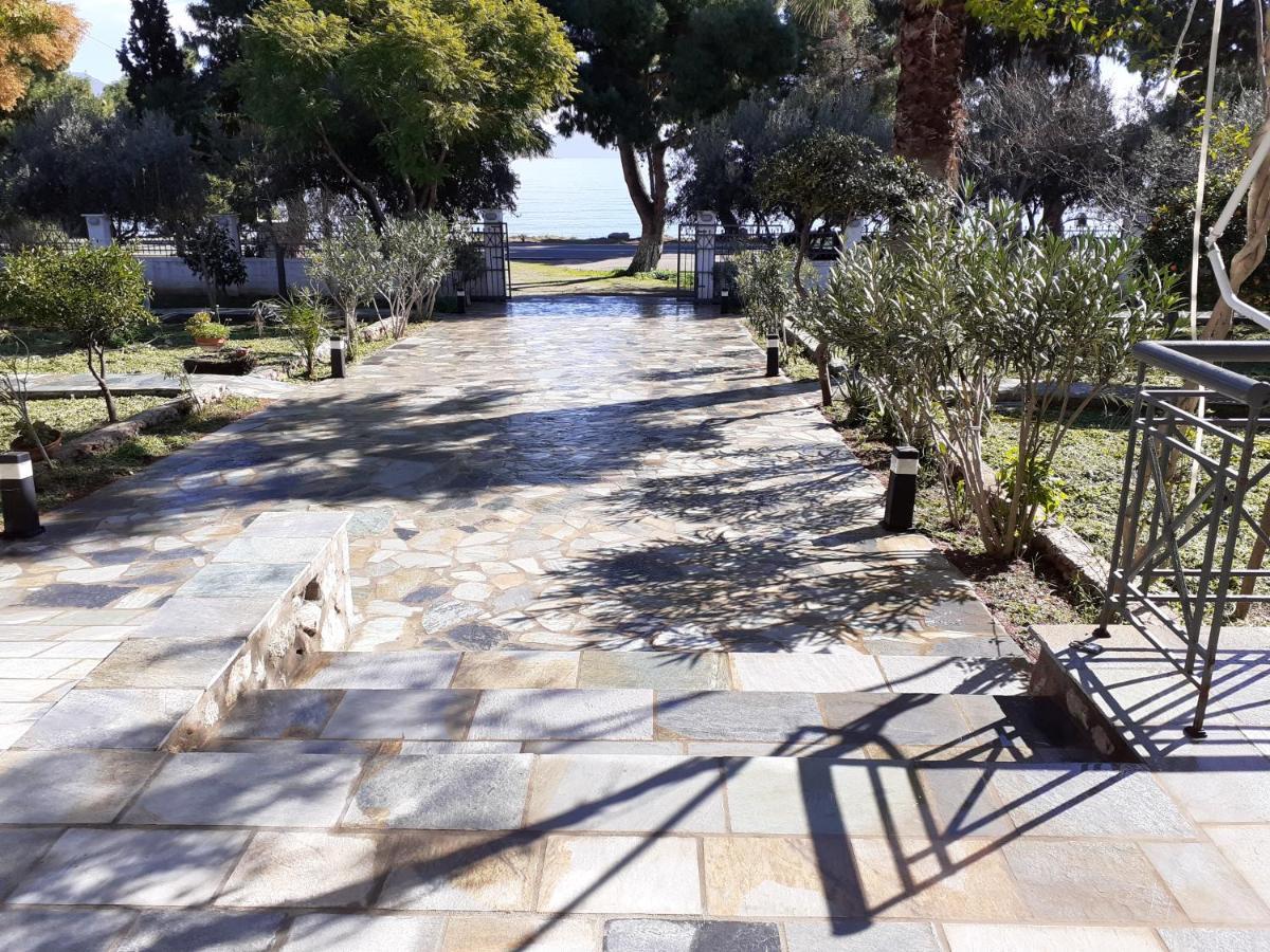 Elea Guesthouse Galaxídhion المظهر الخارجي الصورة