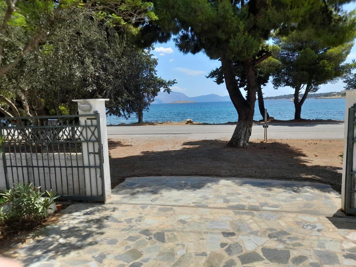 Elea Guesthouse Galaxídhion المظهر الخارجي الصورة