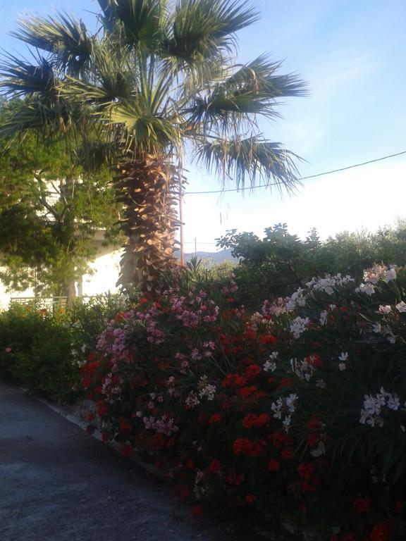 Elea Guesthouse Galaxídhion المظهر الخارجي الصورة