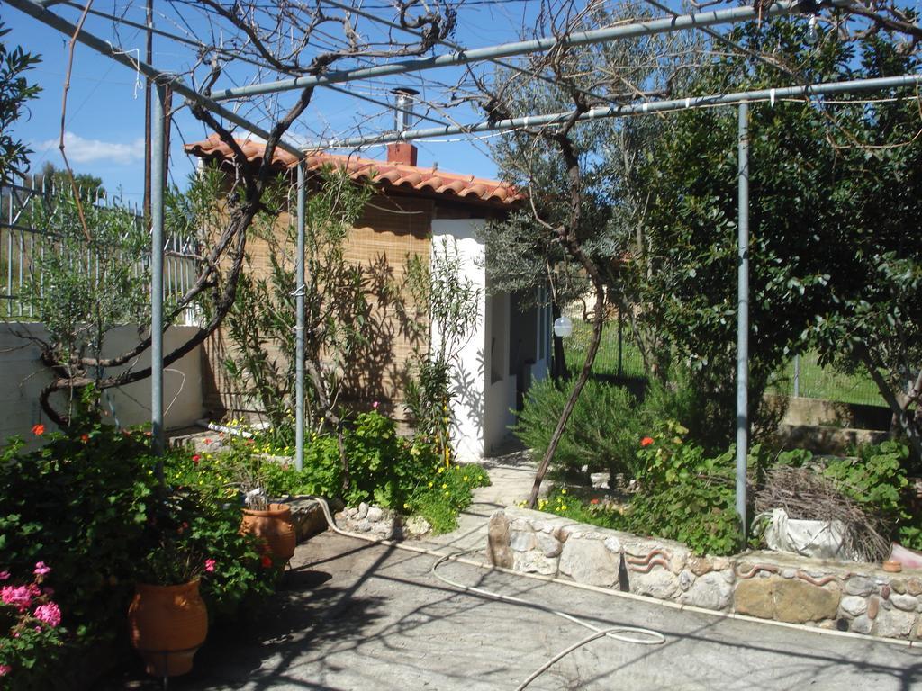 Elea Guesthouse Galaxídhion المظهر الخارجي الصورة
