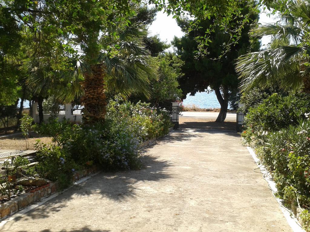 Elea Guesthouse Galaxídhion المظهر الخارجي الصورة