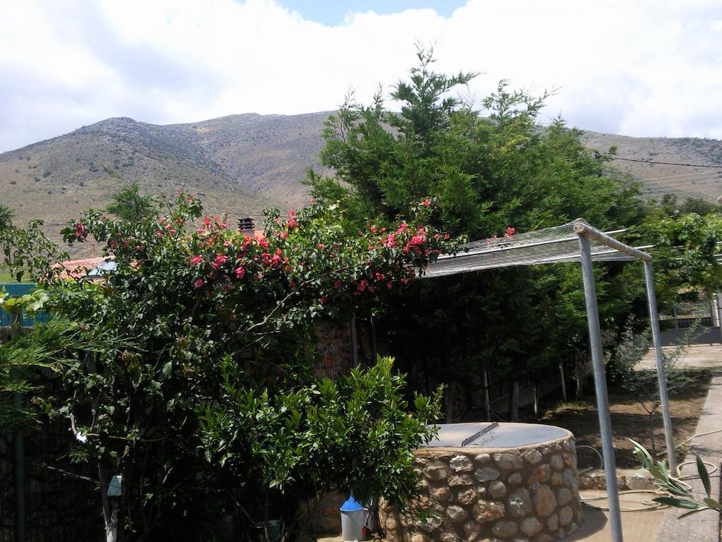 Elea Guesthouse Galaxídhion المظهر الخارجي الصورة