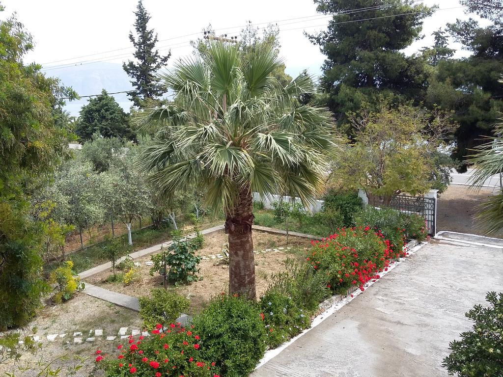 Elea Guesthouse Galaxídhion المظهر الخارجي الصورة