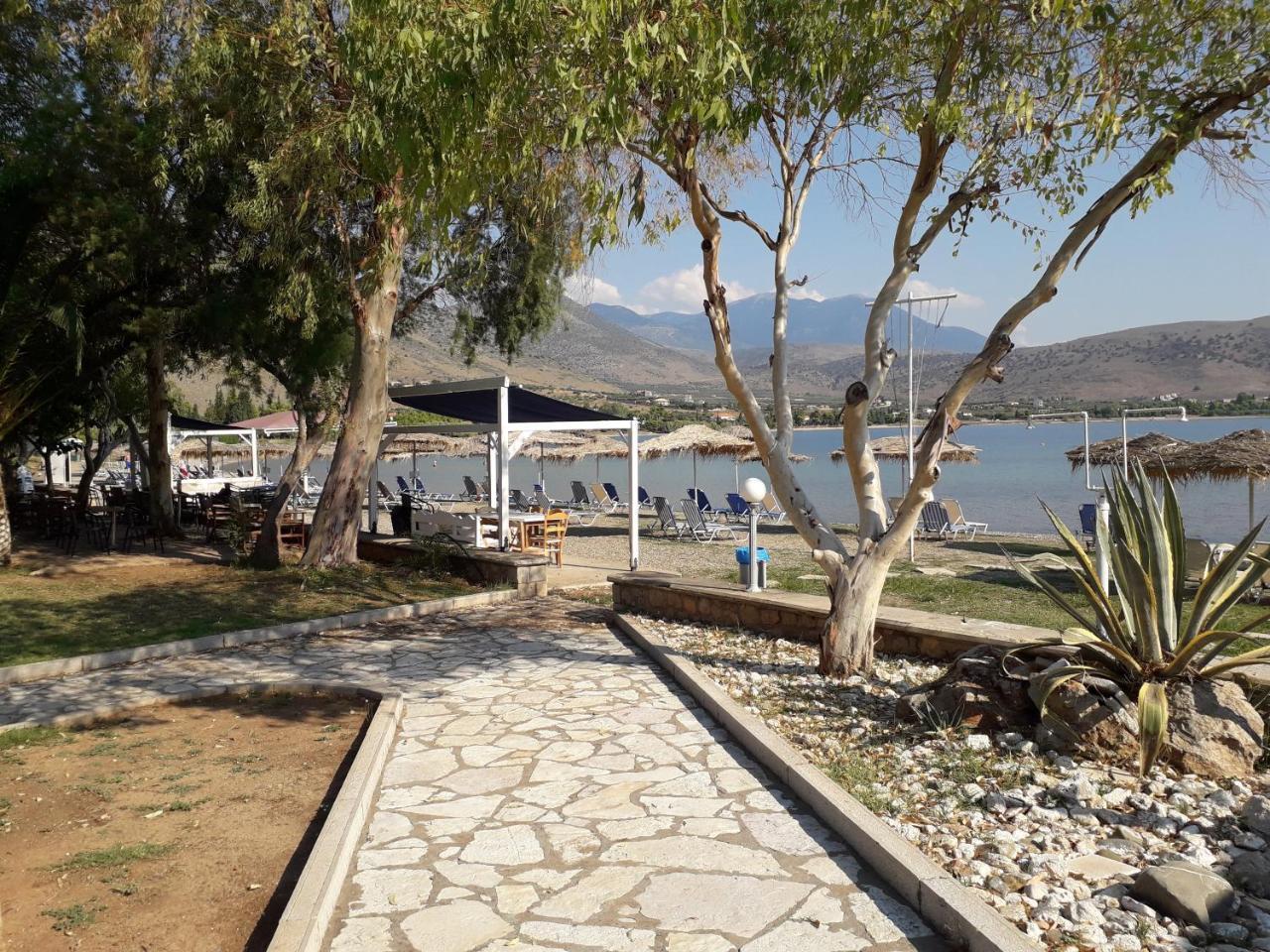 Elea Guesthouse Galaxídhion المظهر الخارجي الصورة