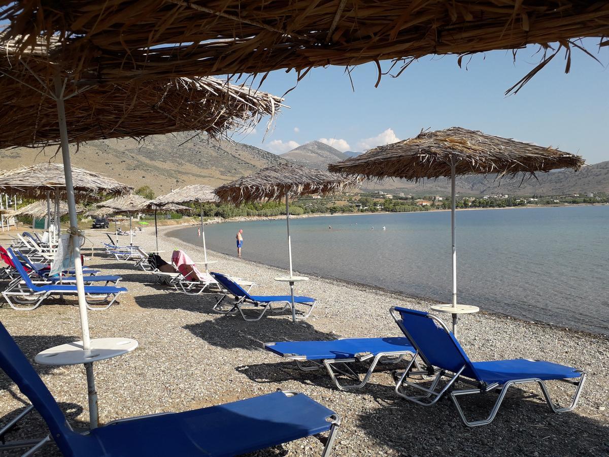 Elea Guesthouse Galaxídhion المظهر الخارجي الصورة